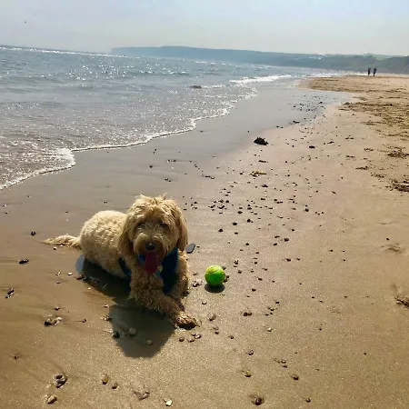 Secret Of Eden House פילי